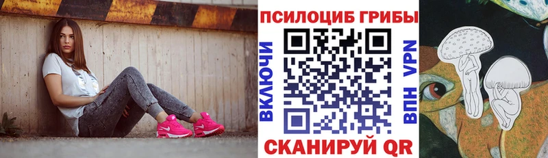 хочу   Тула  Псилоцибиновые грибы Psilocybine cubensis 