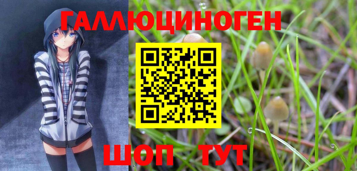 Псилоцибиновые грибы Cubensis  Вход с VPN  Псилоцибиновые грибы GOLDEN TEACHER  Тула 